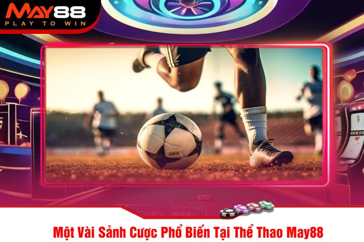 Một Vài Sảnh Cược Phổ Biến Tại Thể Thao May88